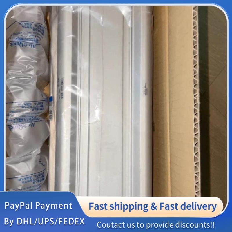 1  PCS  NEW  SMC CDQ2A100-250DCZ Cylinder #LYQ007