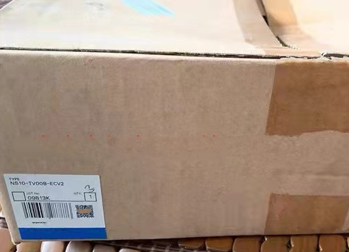 1 PCS NEW  NS10-TV00B-ECV2  #OYF033